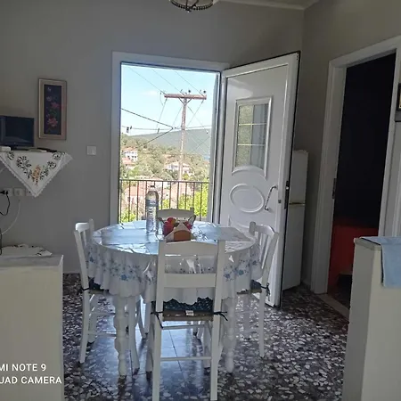 Emily's * טריקרי